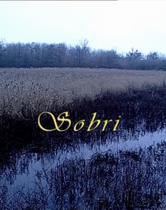 Sobri, a betyár - borítókép