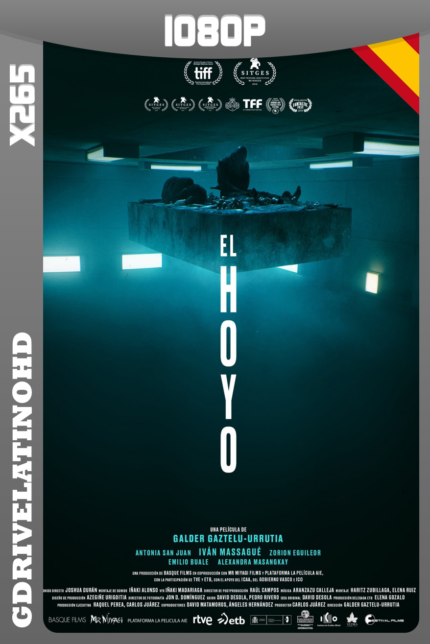 El hoyo (2019) BDRip x265 1080p Castellano-Ingles