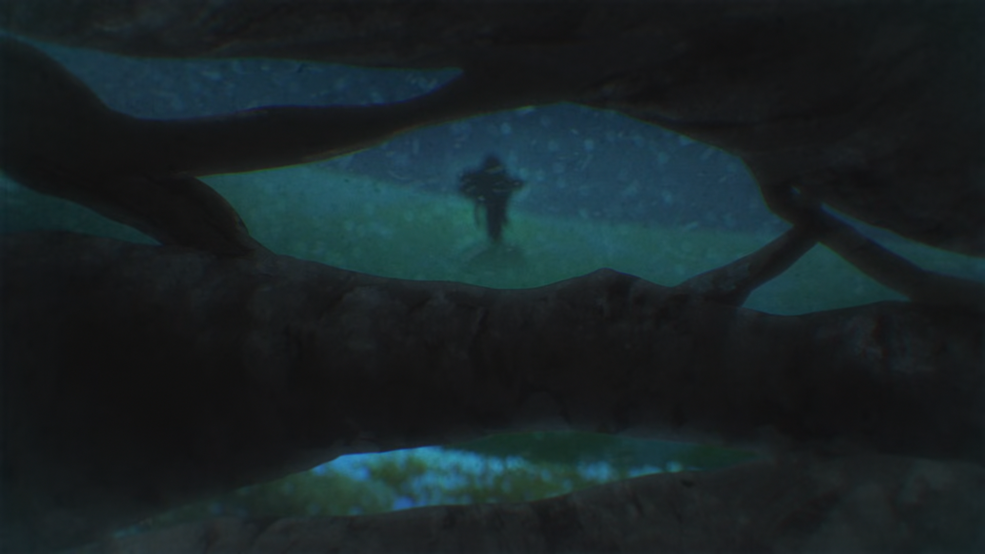 Actual encode screenshot exported to png and losslessly compressed to webp