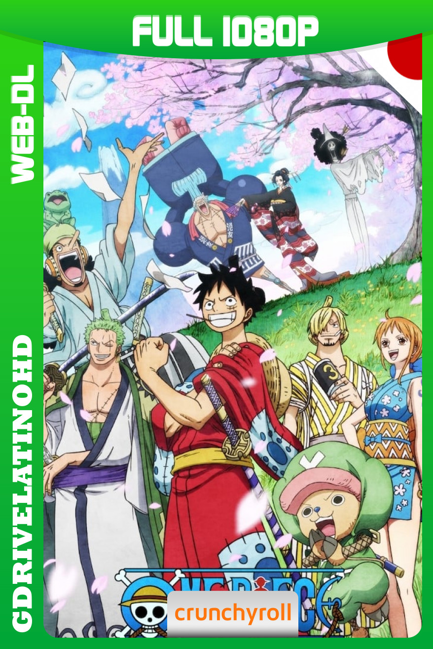 One Piece (2019) Arco del país de Wano [197/197] + 2 Especiales WEB-DL 1080p Japones