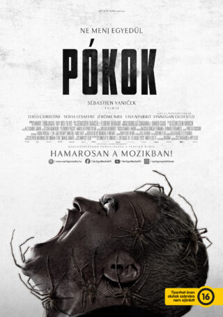 Pókok - borítókép