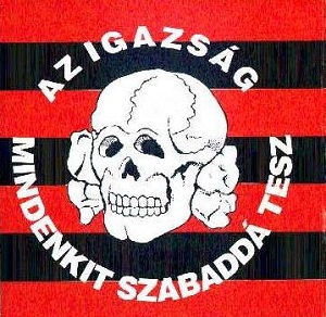 Kép