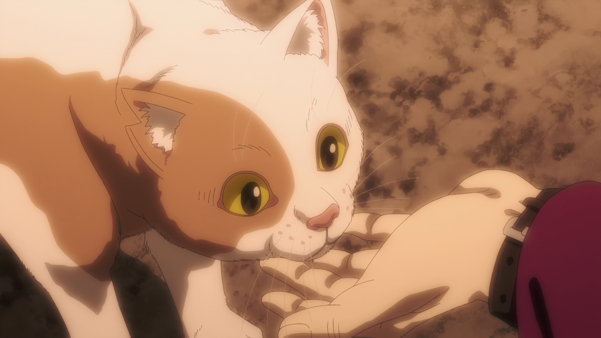 《Nyaight of the Living Cat S01E12 Meow Am Legend 1080p CR WEB-DL AAC2.0 H 264-VARYG (Multi-Subs)》高清电影迅雷百度云下载