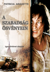 Beyond.Rangoon.1995.WEBRIP.x264.HUN-Wolf
