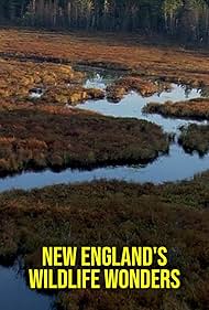 �j-Anglia term�szeti csod�i 1080i