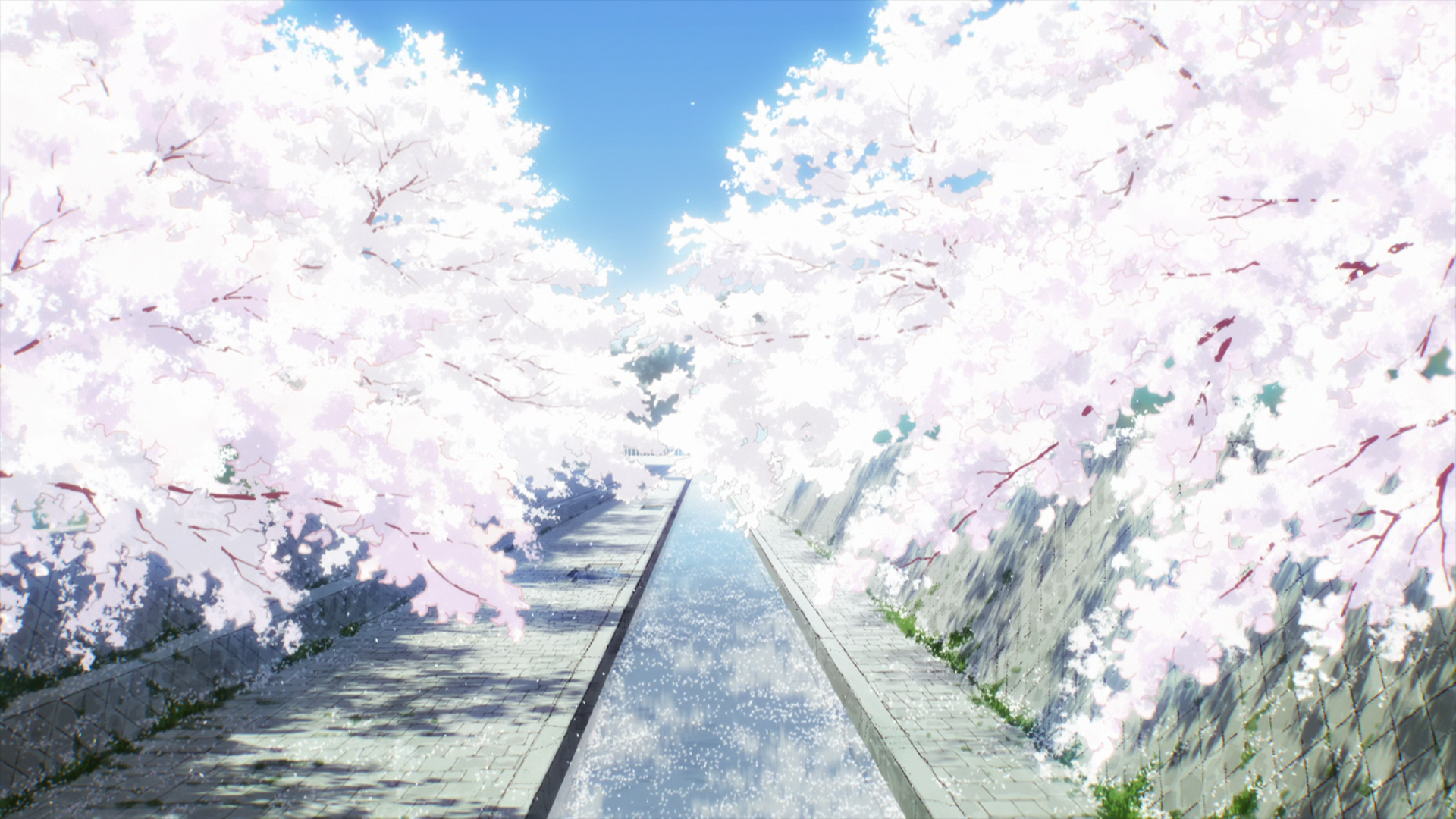 Actual encode screenshot exported to png and losslessly compressed to webp
